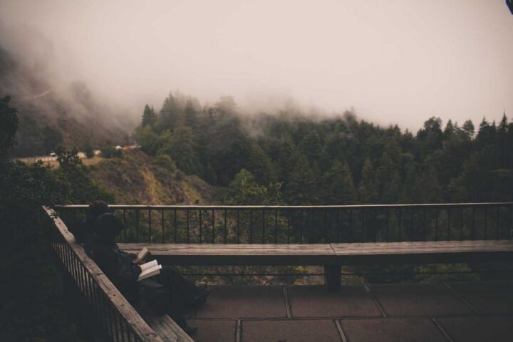 Quidem sed iure ex culpa iste dolor